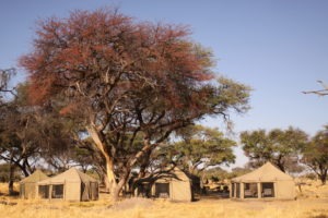 Botswana Mobile Safari camping khwai