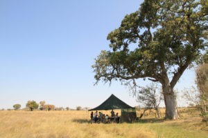 Botswana mobile safari outdoor tent