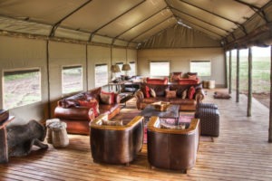 Desert Rhino Camp Lounge Area