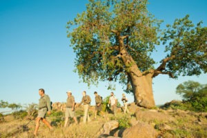Ecotraining Baobab walk