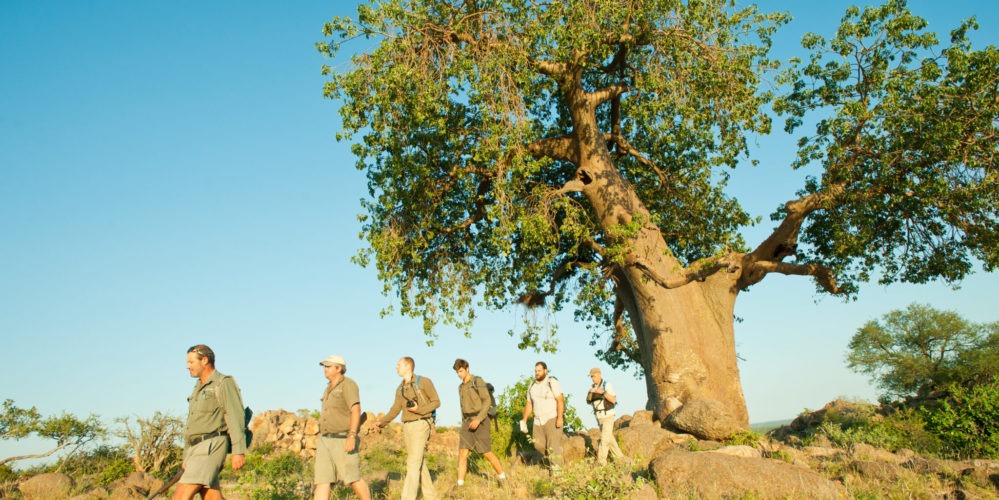 Ecotraining Baobab walk