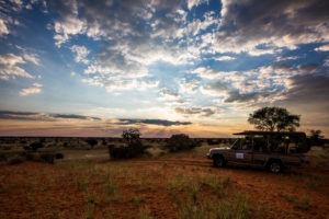 Kalahari Anib Lodge Drive