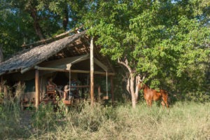 Northern Tuli Botswana resting camp