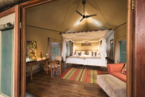 Ongava Tented Camp Room2