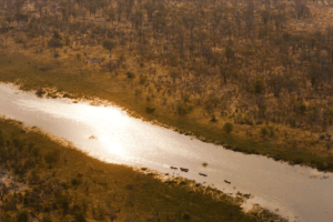 Selinda Spillway Botswana river