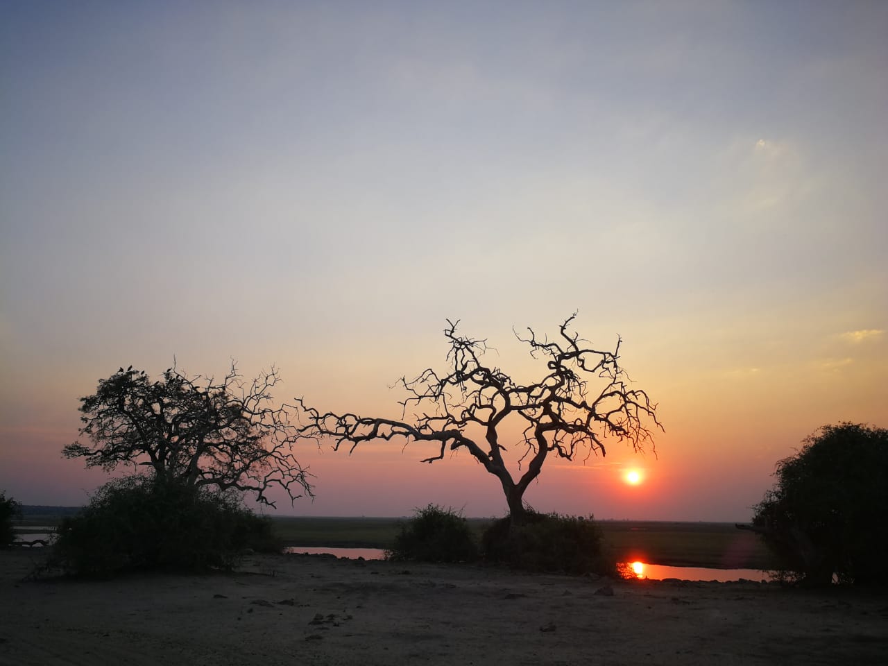 Zimbabwe Sunset a Chobe NP David Havemann