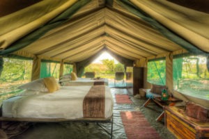 botswana okavango delta walking safari footsteps camp 14