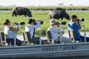 botswana photo safari hippos