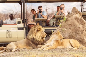 botswana savuti savute safari lodge chobe 1