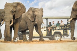 botswana savuti savute safari lodge chobe 3