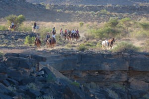 namibia horse riding