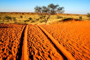 namibia kalahari landscape photography desert