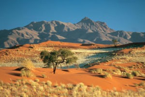 namibia namib rand landscape photo safari