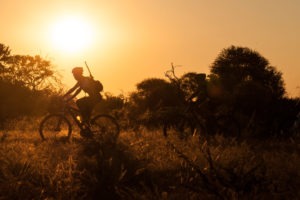 northern tuli botswana cycling safari sunset riding