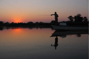 okavango delta sunset fishing cast