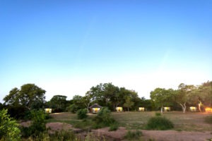 shindzela timbavati camp view