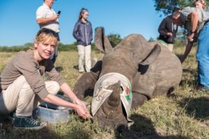 south africa rhino notching steph