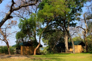 upper zambezi zambia mutemwa lodge
