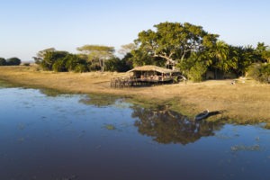zambia kafue national park busanga plains camp 38