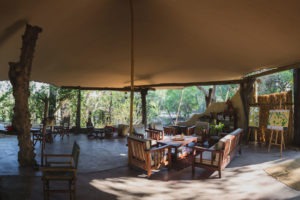 zambia kafue national park musekese camp 30