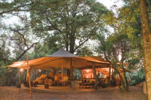 zambia kafue national park musekese camp 34