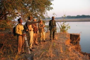 zambia south luangwa national park kafunta river lodge 20