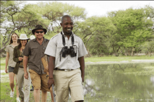 Botswana okavango delta walking through delta safari