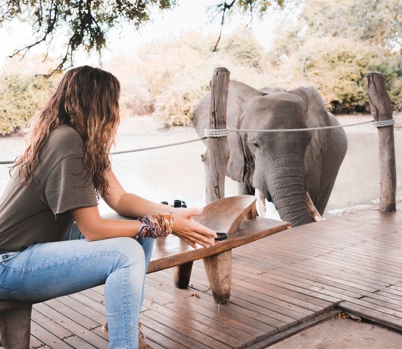 safari with gesa and frank Gesa Neitzel and elephant