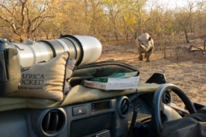 Makuleke Kruger National Park Game Drive Rhino Photography