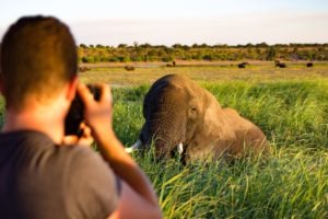 Northen Botswana Chobe Boating Photography Elephant