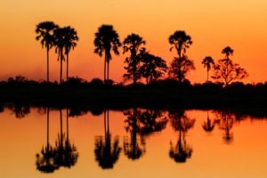 Nothern Botswana Chobe Aamzing Sunset