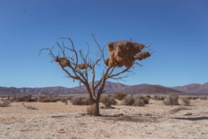 Southern Namibia landscape photography