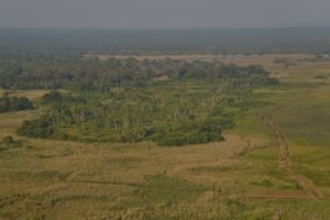 Zambia Kasanka