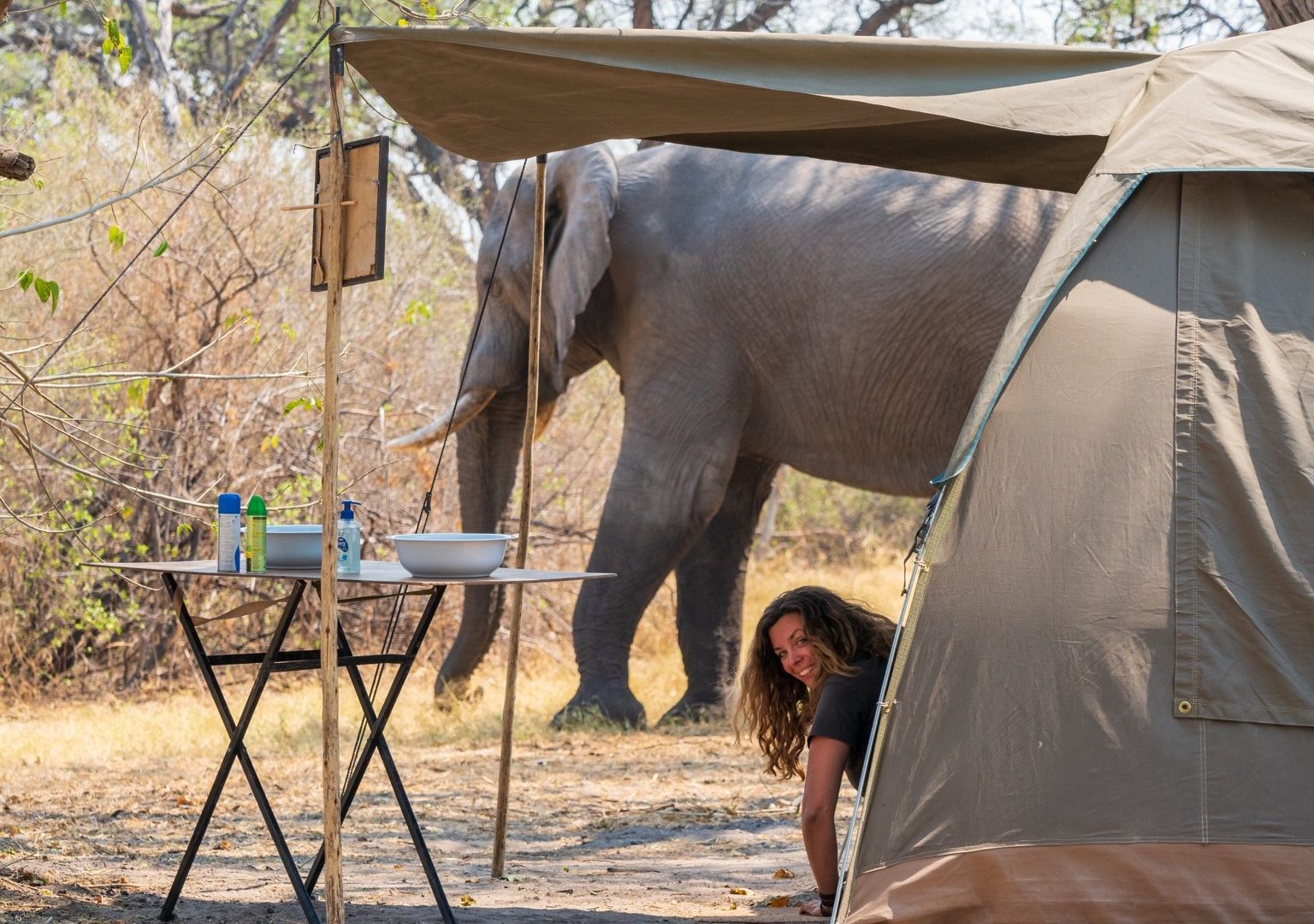 botswana mobile safari gesa tent elephant