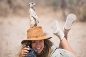gesa meerkat botswana