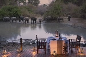 kanga camp mana pools elephants diner