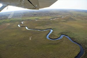 maun okavango delta scenic flight botswana