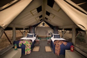 zambezi expeditions mana pools twin beds