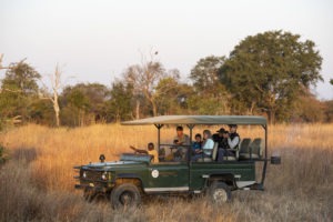 zambia kafue national park mukambi safari lodge27