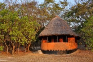 zambia kasanka Wasa Lodge