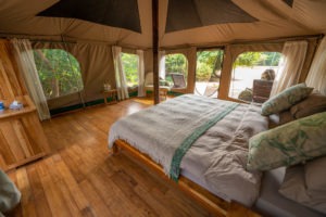 manyara green camp bedroom view