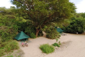 manyara green camp tanzania aerial tents