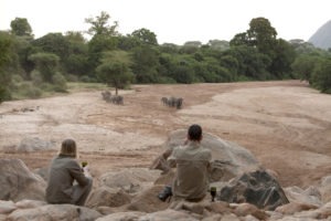 manyara green camp tanzania elephant rocks