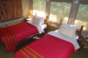 mysigio camp tanzania twin tent