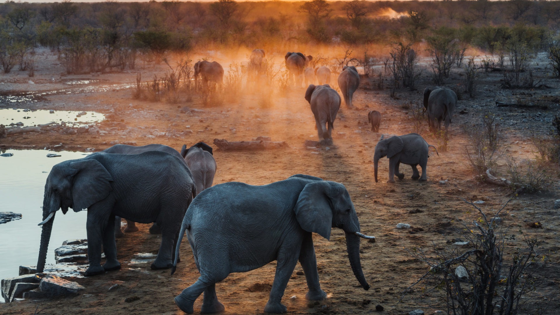 namibia photographic safari jason emilie guides 18