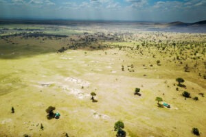 tanzania kogatende green camp serengeti 22