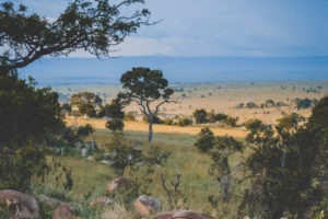 tanzania safaris landscape distance