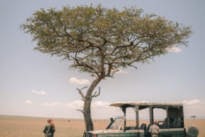 Blog Serengeti9