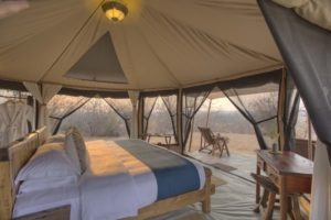 kichaka ruaha guest tent interior