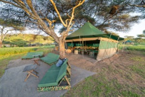 naabi green camp dining tent